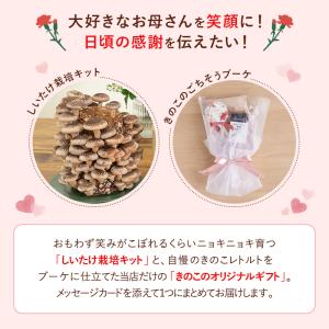 【5月7日から順次発送】【母の日限定】ごちそう...の詳細画像2