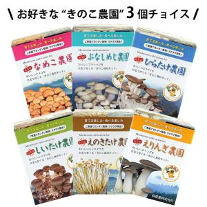 きのこ栽培キット 3個チョイス まとめ買いでお得 [しいたけ農園/なめこ農園/えのきたけ農園/えりんぎ農園/ぶなしめじ農園/ひらたけ農園3月入荷]