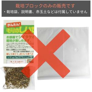 きのこ栽培ブロック( 付属品なし )選べる4個...の詳細画像3