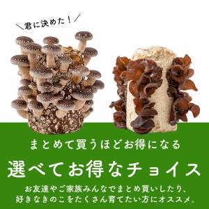 きのこ栽培ブロック( 付属品なし )選べる4個...の詳細画像1