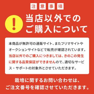 きのこ栽培ブロック( 付属品なし )選べる4個...の詳細画像5