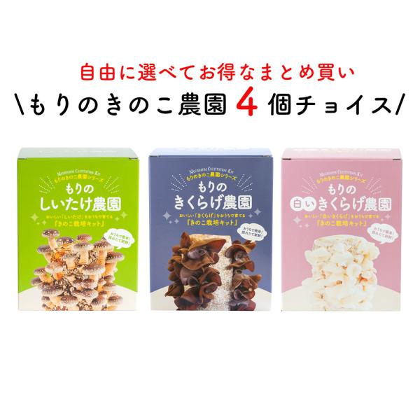 【お好み4個 選べてお得】きのこ栽培キット 農園4個チョイス（化粧箱付）| キノコ栽培 きのこ栽培 ...