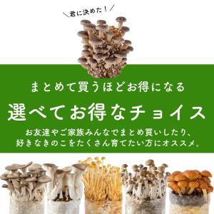 きのこ栽培キット < お好み4個 選べて...の詳細画像1