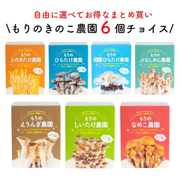 【お好み6個 選べてお得】きのこ栽培キット 農園6個チョイス（化粧箱付）｜キノコ栽培 きのこ栽培 し...