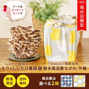 栽培キット 【母の日限定 】もりのしいたけ農園×撥水風呂敷ながれ | 母の日 nocco. 朝倉染布 きのこ栽培 キノコ栽培 栽培キット 栽培セット  プレゼント ギフト