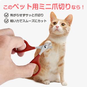 鳥 ペット用 爪切り ミニ 小型 ハサミ 猫 ...の詳細画像3