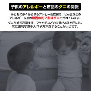 布団掃除機ヘッド ダイソン掃除機ヘッド Dys...の詳細画像1