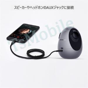iPhone ライトニング3.5mmAUX変換...の詳細画像2