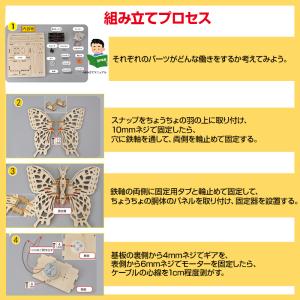 ちょうちょ 蝶 木製模型 組み立てキット 小学...の詳細画像4