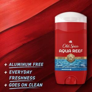 【並行輸入品】【送料無料!】Old Spice...の詳細画像1