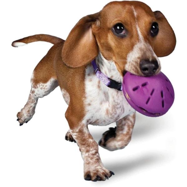 【並行輸入品】ペットエサ用ディスペンサー PetSafe 犬のおもちゃ