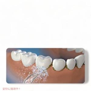 【並行輸入品】ウォーターピック アクエリアス ...の詳細画像2