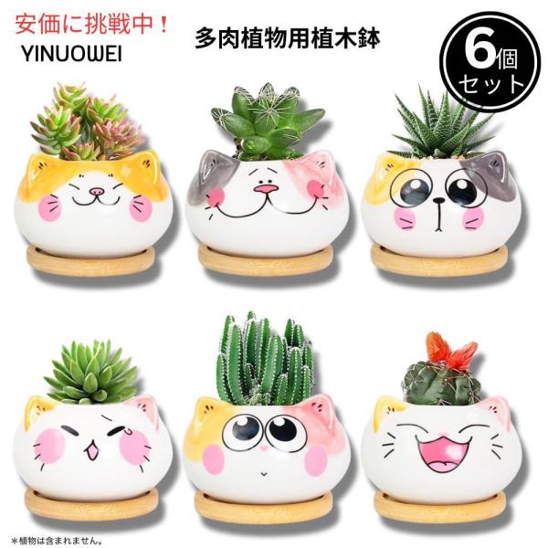 【並行輸入品】Yinuowei 猫型 多肉植物用ミニ鉢 9.1cm 6個セット 排水穴 竹製トレイ付...