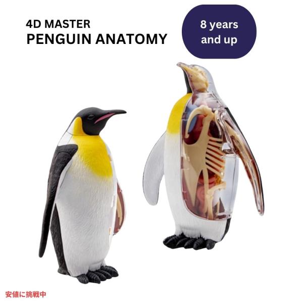 4Dビジョン 皇帝ペンギン 解剖模型 解剖モデル 4D Vision Emperor Penguin...