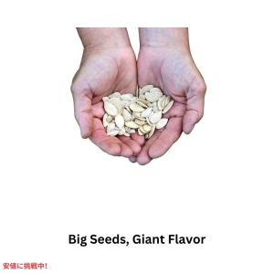 【並行輸入品】Giants Pumpkin S...の詳細画像3