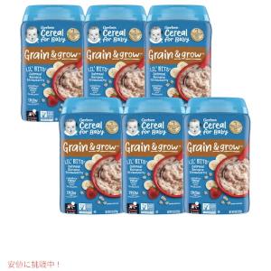 並行輸入品】ガーバー オーガニック 離乳食 オートミール シリアル