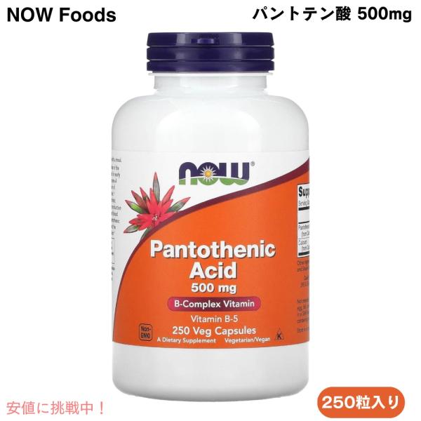 【並行輸入品】NOW Foods Pantothenic Acid 500 mg 250 Caps ...