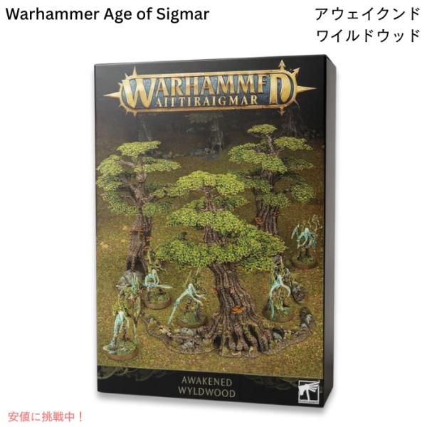 【並行輸入品】ウォーハンマー：エイジ・オヴ・シグマー Warhammer Age of Sigmar...