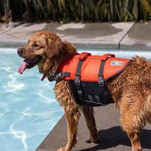 【並行輸入品】Outward Hound グラ...の詳細画像4