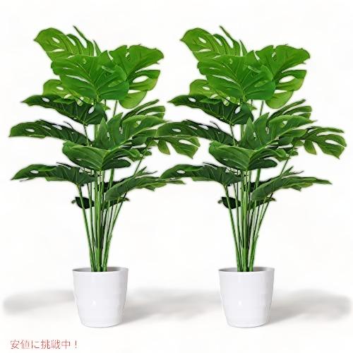 【並行輸入品】SAJANDAS 人工モンステラ デリシオサ プラント 2個セット  28インチ