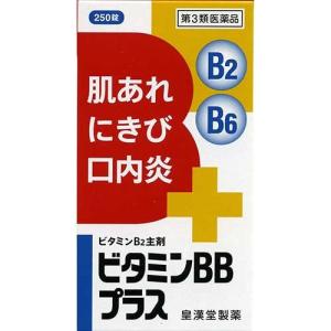 ビタミンBBプラス クニヒロ 250錠　第3類医薬品　納期10日程度