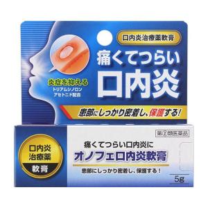 オノフェ口内炎軟膏の商品画像