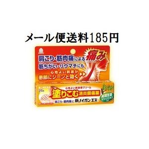 新ノイガンエス　２５ｇ　送料185円　湧永製薬　第３類医薬品