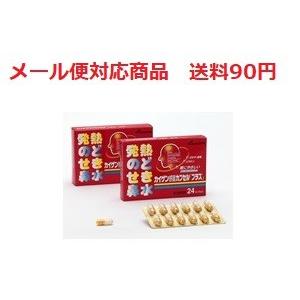 カイゲン感冒カプセル「プラス」の商品画像