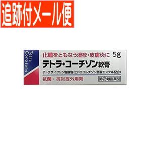 【メール便送料無料】【第(2)類医薬品】テトラコーチゾン軟膏　5g｜drug