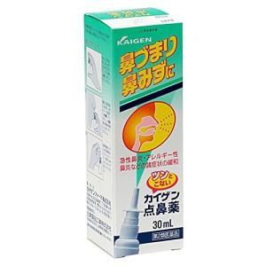 【第2類医薬品】【5個セット】カイゲン点鼻薬　30ｍｌ×5個セット【小型宅配便】｜drug