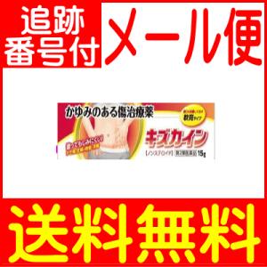 【メール便送料無料】【第2類医薬品】キズカイン 15g　丹平製薬　1個限り特価｜drug