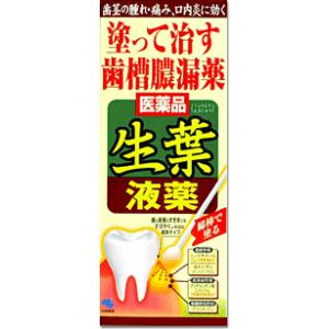 塗って治す歯槽膿漏薬 生葉液薬　小林製薬【第3類医薬品】
