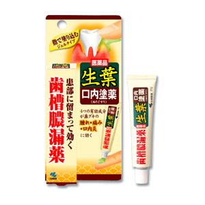 生葉　口内塗薬 20g入 小林製薬【第3類医薬品】｜drug