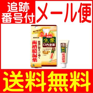 【第3類医薬品】生葉　口内塗薬 20g入 小林製薬【メール便送料無料】｜drug