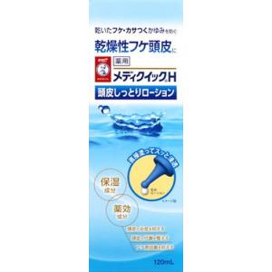 ロート製薬 メンソレータム メディクイックH 頭皮しっとりローション