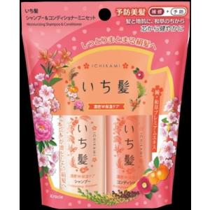 いち髪 なめらかスムースケア シャンプー 詰替用2回分 ( 660ml