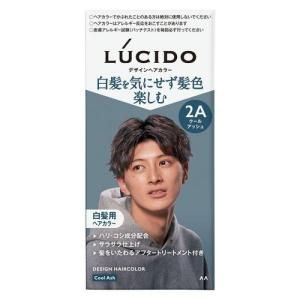 医薬部外品】ルシード デザインヘアカラー クールアッシュ 2A メンズ用