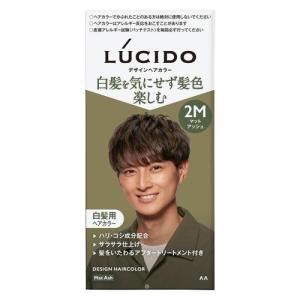 医薬部外品】ルシード デザインヘアカラー クールアッシュ 2A メンズ用