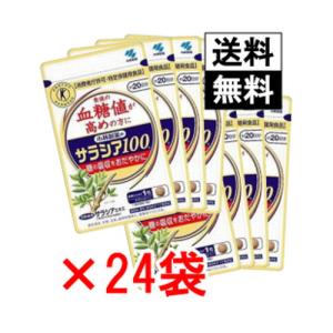 小林製薬 サラシア １００ 20日分 60粒×24袋 まとめ買いセット