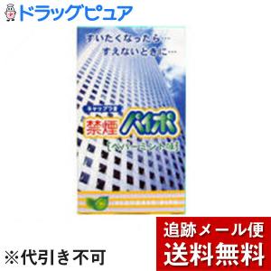 【メール便で送料無料 ※定形外発送の場合あり】 マルマン 禁煙パイポ ペパーミント味 ( 3本入 )×10個セット