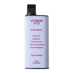 【送料無料】 富山めぐみ製薬株式会社 ビタボン V(ヴィ)21 シャインベリー 5ml 【△】
