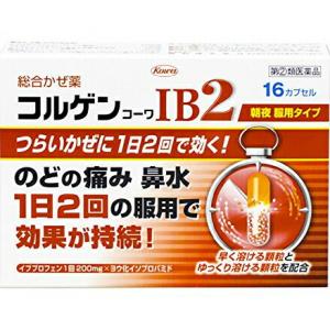 コルゲンコーワＩＢ２の商品画像