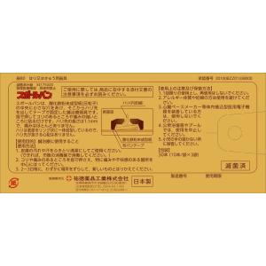 【あすつく15時まで】【☆】【鍼商品おまかせサ...の詳細画像1