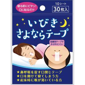 リバテープ製薬株式会社 いびきさよならテープ 30枚 【関連商品：ナイトミン鼻呼吸テープ】【△】