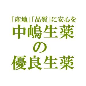 中嶋生薬株式会社 ナカジマ グァバ葉 500g(中国産・短冊切) (グァバハ。別名：蕃石榴(バンセキ...