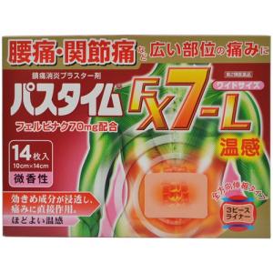 パスタイムＦＸ７－Ｌ温感の商品画像