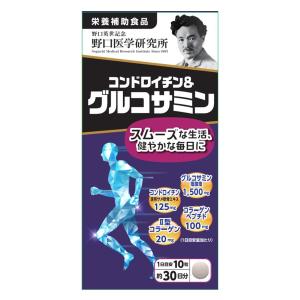 コンドロイチン＆グルコサミン 300錠 送料無料 野口医学研究所｜drugstore-pony