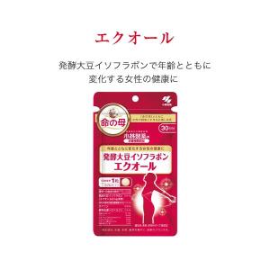 onaka(おなか) ( 60粒 )/ PILLBOX(ピルボックス) : 爽快ドラッグ