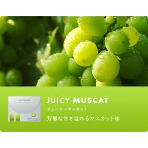 【公式】ドクターベイプ DR.VAPE Mod...の詳細画像5
