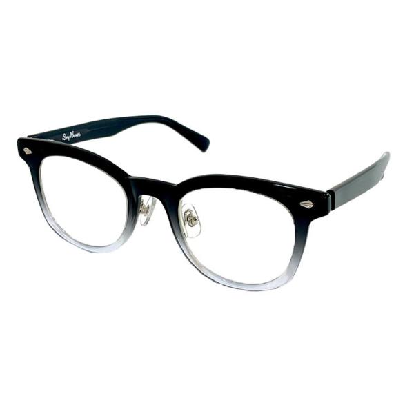 ドライボーンズ DEF-012　Eyewear (With Hard Case)